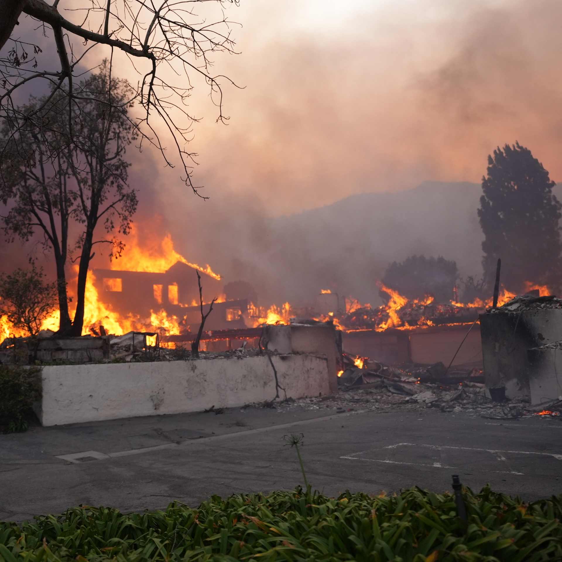 Rebuilding After a Wildfire: Step-by-Step Recovery Guide